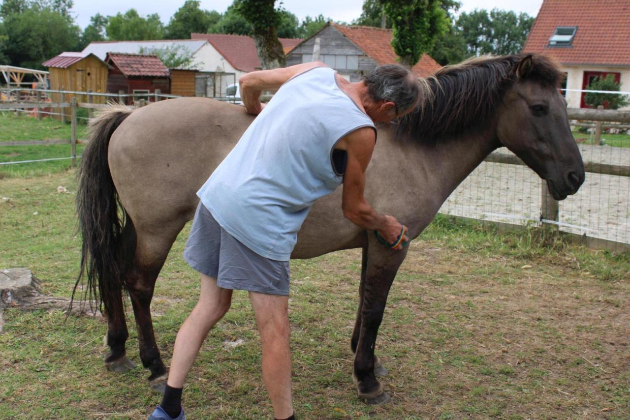 Au Paradis O'Fer - Zoothérapie équine