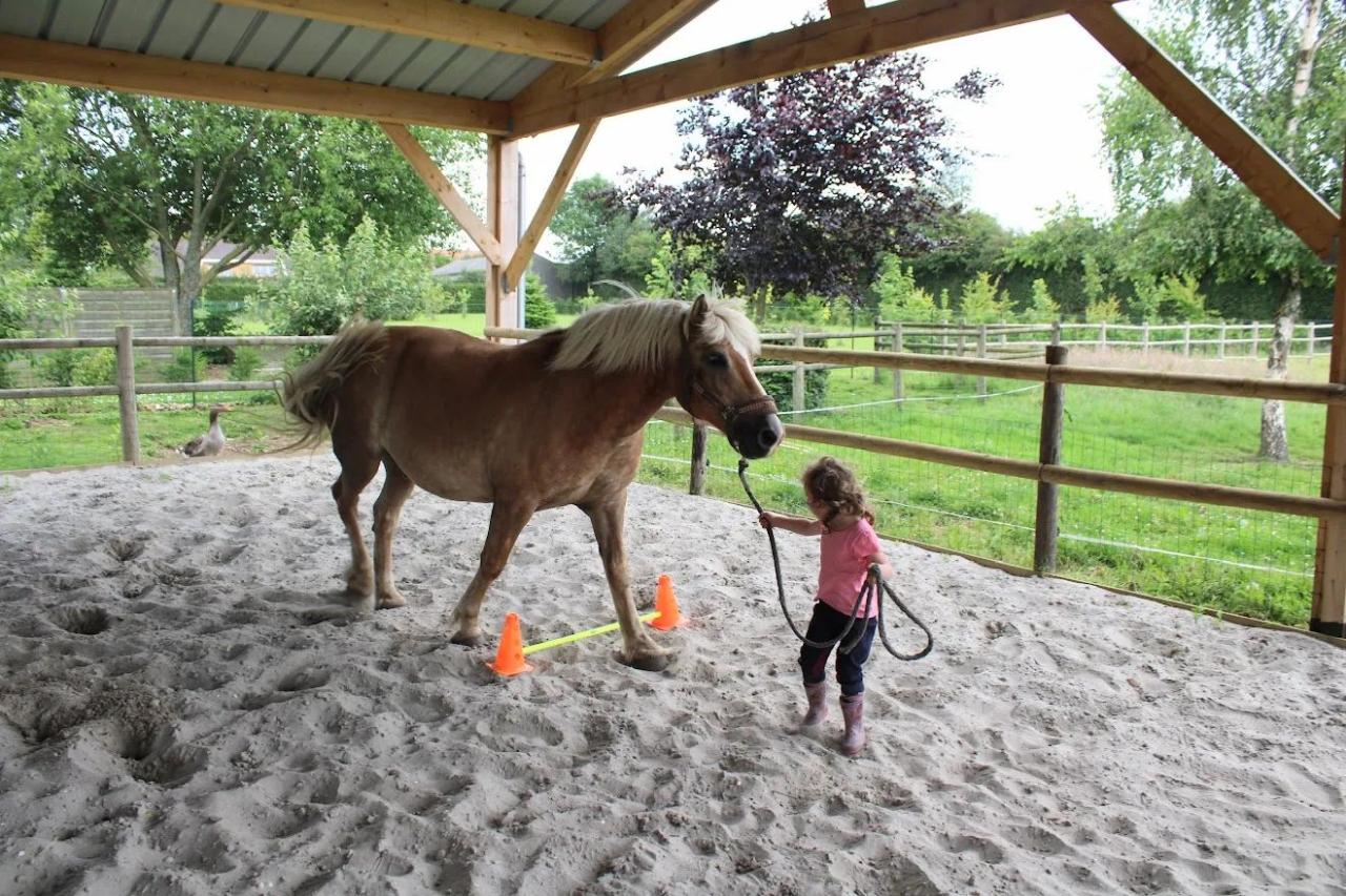 Au Paradis O'Fer - Cadre verdoyant