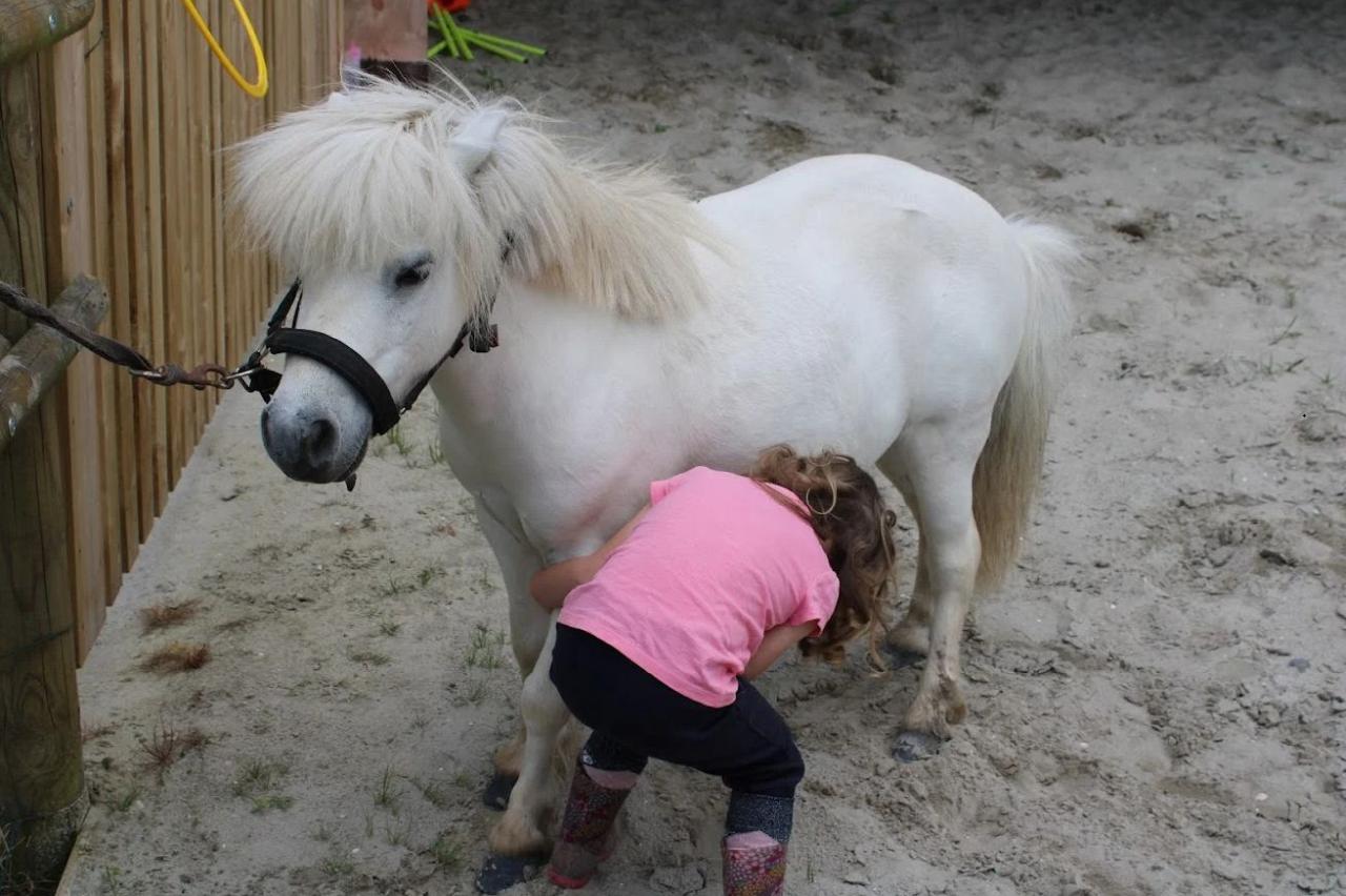 Au Paradis O'Fer - Médiation animale