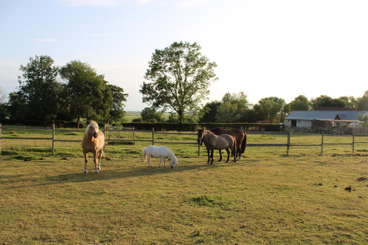 Au Paradis O'Fer - Accueil familial